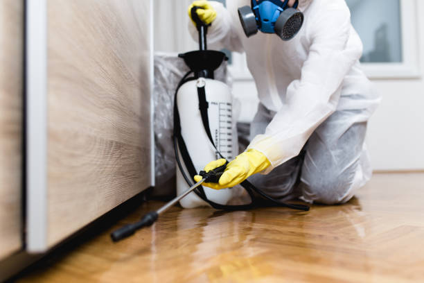 Best Bed Bug Extermination  in Jeffersontown, KY