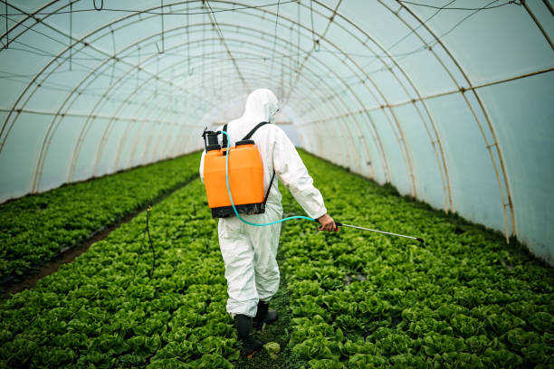 Pest Control for Restaurants in Jeffersontown, KY