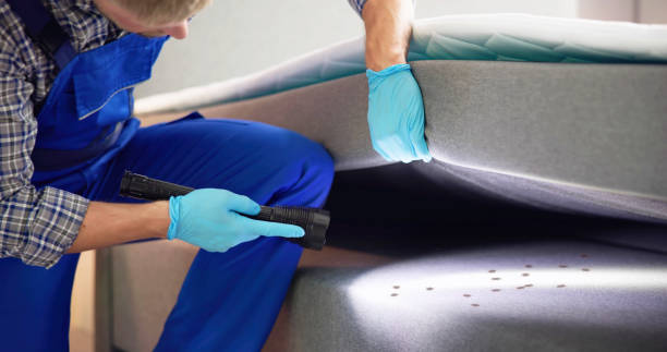 Best Pest Prevention Services  in Jeffersontown, KY