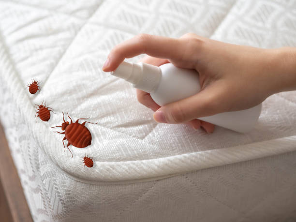 Best Commercial Pest Control Services  in Jeffersontown, KY
